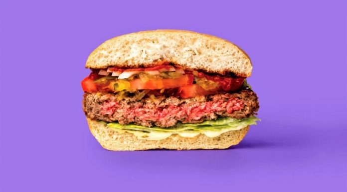 ”Carnea” vegetariană, subiect de dezbatere în Parlamentul European: de ce sunt supărați fermierii