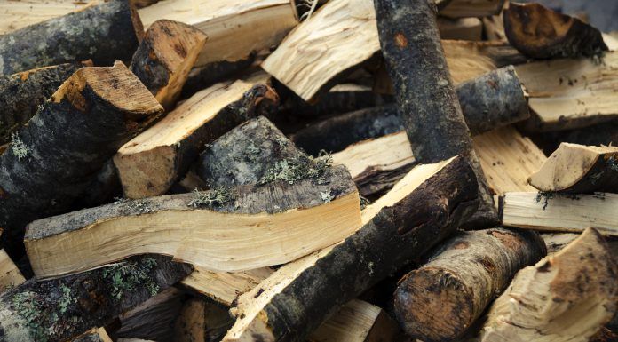 Magazinul online al Romsilva vinde lemn de foc / ”Sprijinim populaţia să-şi ajute mai uşor părinţii”