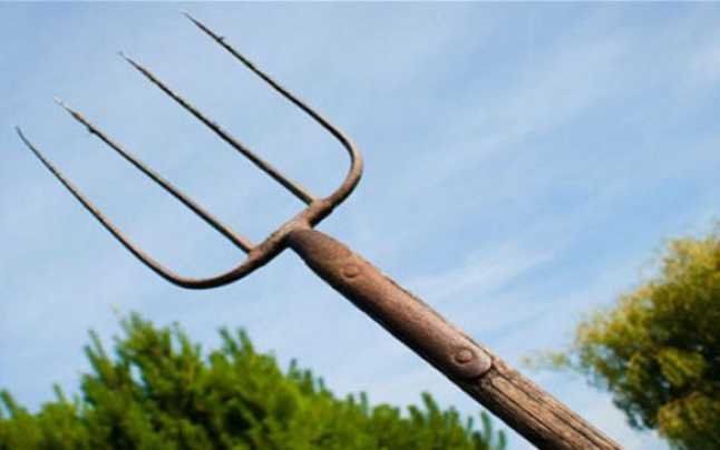 Blestemul pământului, la Ruginoasa – „Văleu, mă omoară, mă omoară!” Cinci ani de procese pentru un braț de strujeni