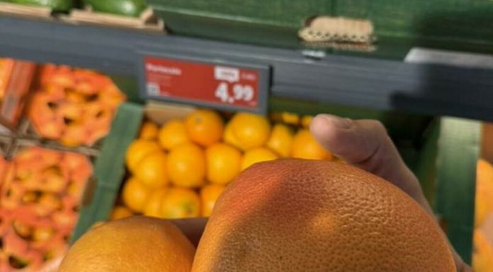 Șeful ANPC: Suntem bătaia de joc a importatorilor de citrice. Lămâile și portocalele din România sunt furaj animalier