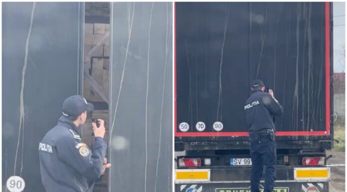 Camion cu cherestea fără acte, semnalat de activiștii de mediu, la Cristești – VIDEO